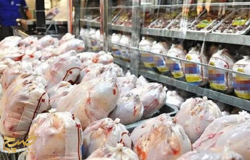 هوشمندسازی توزیع مرغ با نصب ۷۵۵ کارتخوان رهآوا
